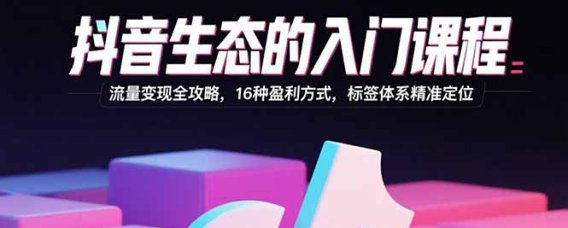 抖音生态的入门课程:流量变现全攻略,16种盈利方式,标签体系精准定位