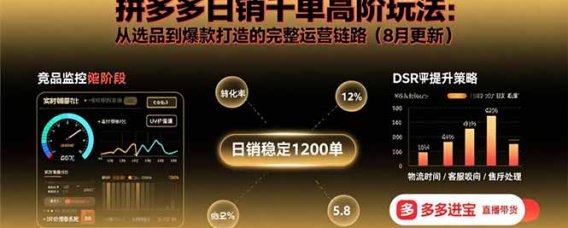 拼多多日销千单高阶玩法:从选品到爆款打造的完整运营链路(8月更新